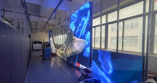 LED Video Display P1