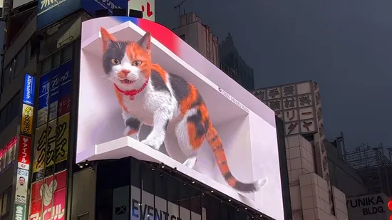 P4.81 500X500 Fine Pixel Pitch Rental LED Display Outdoor 