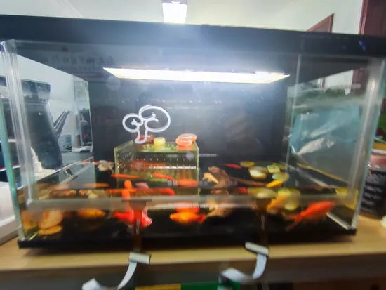 Indoor Glass Transparent LED Film Display Transparent Video Wall Display Screen Transparent LED Display Module 